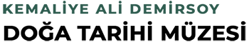 Kemaliye Ali Demirsoy Doğa Tarihi Müzesi